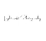 Logo Website